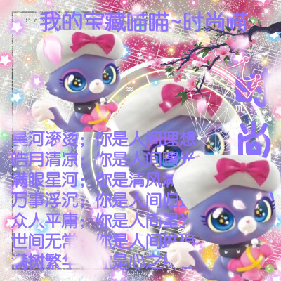 时尚喵的美图来啦