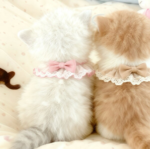 我的萌天下无双