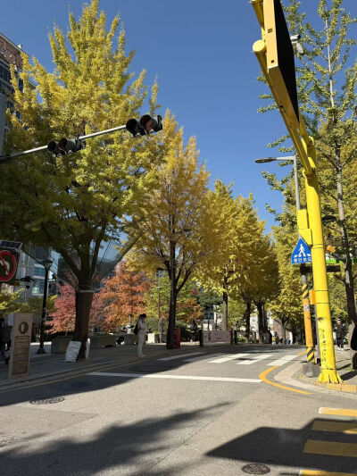 韩国梨花女子大学