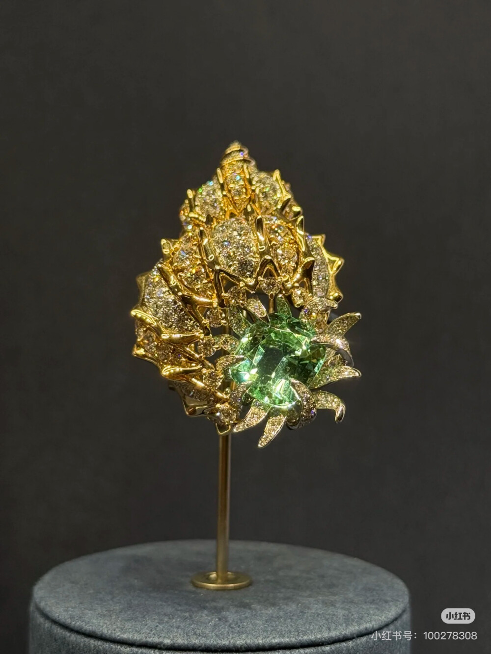 璀璨-小红书转载
