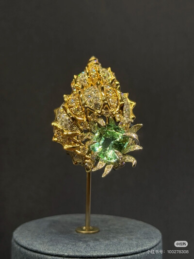 璀璨-小红书转载
