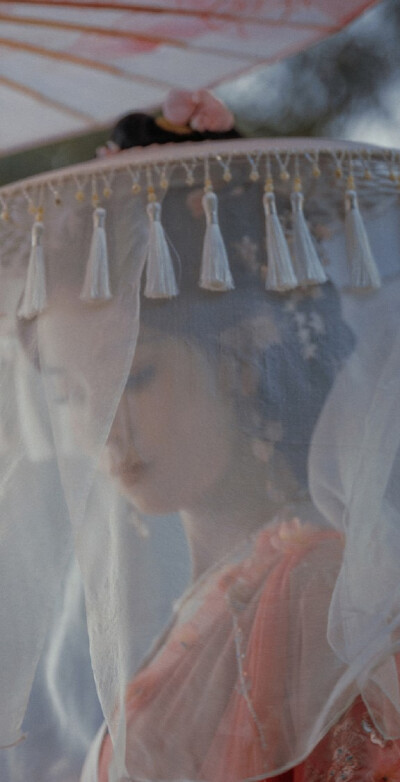 陈瑶《水龙吟》西方桃