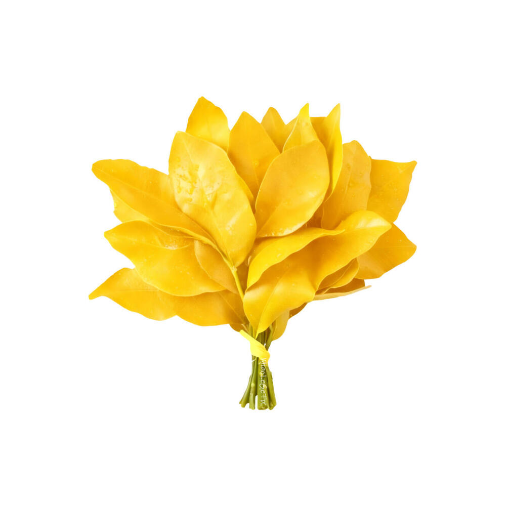 柚子叶白底头像
图源小红地瓜 喵了个图