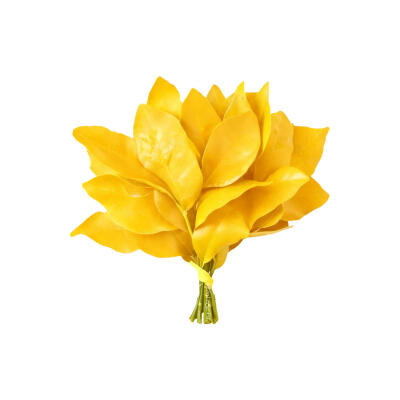 柚子叶白底头像
图源小红地瓜 喵了个图