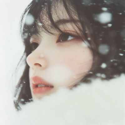 图片源自网络，侵权联系删除