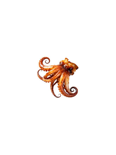 食物美食白底头像