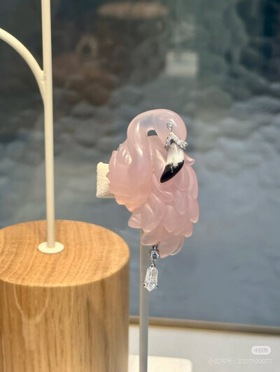 璀璨-小红书转载
