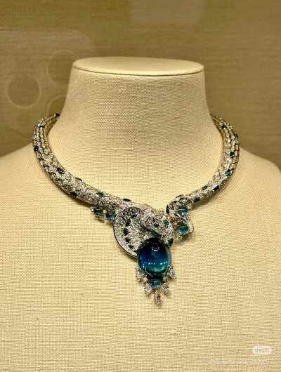 璀璨-小红书转载