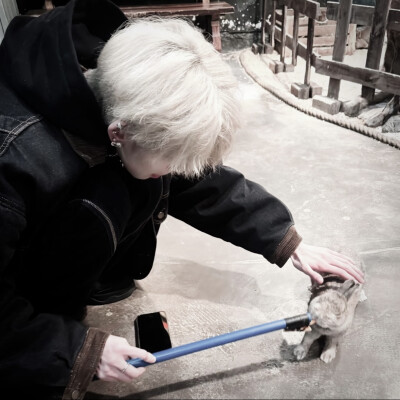 风格男头 拿图点赞关注