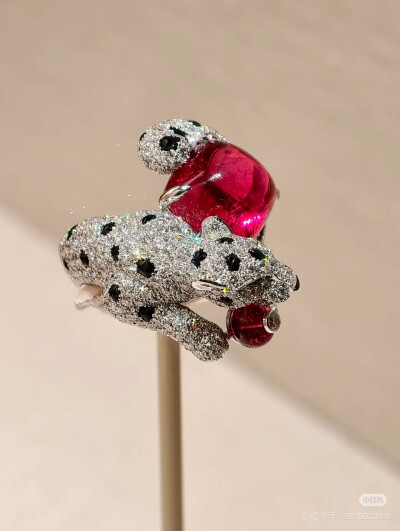 璀璨-小红书转载