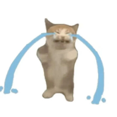 猫猫表情包