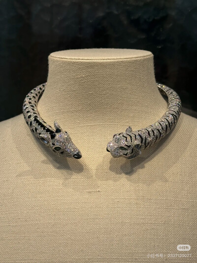 璀璨-小红书转载