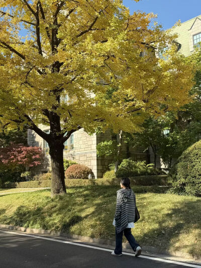 韩国梨花女子大学