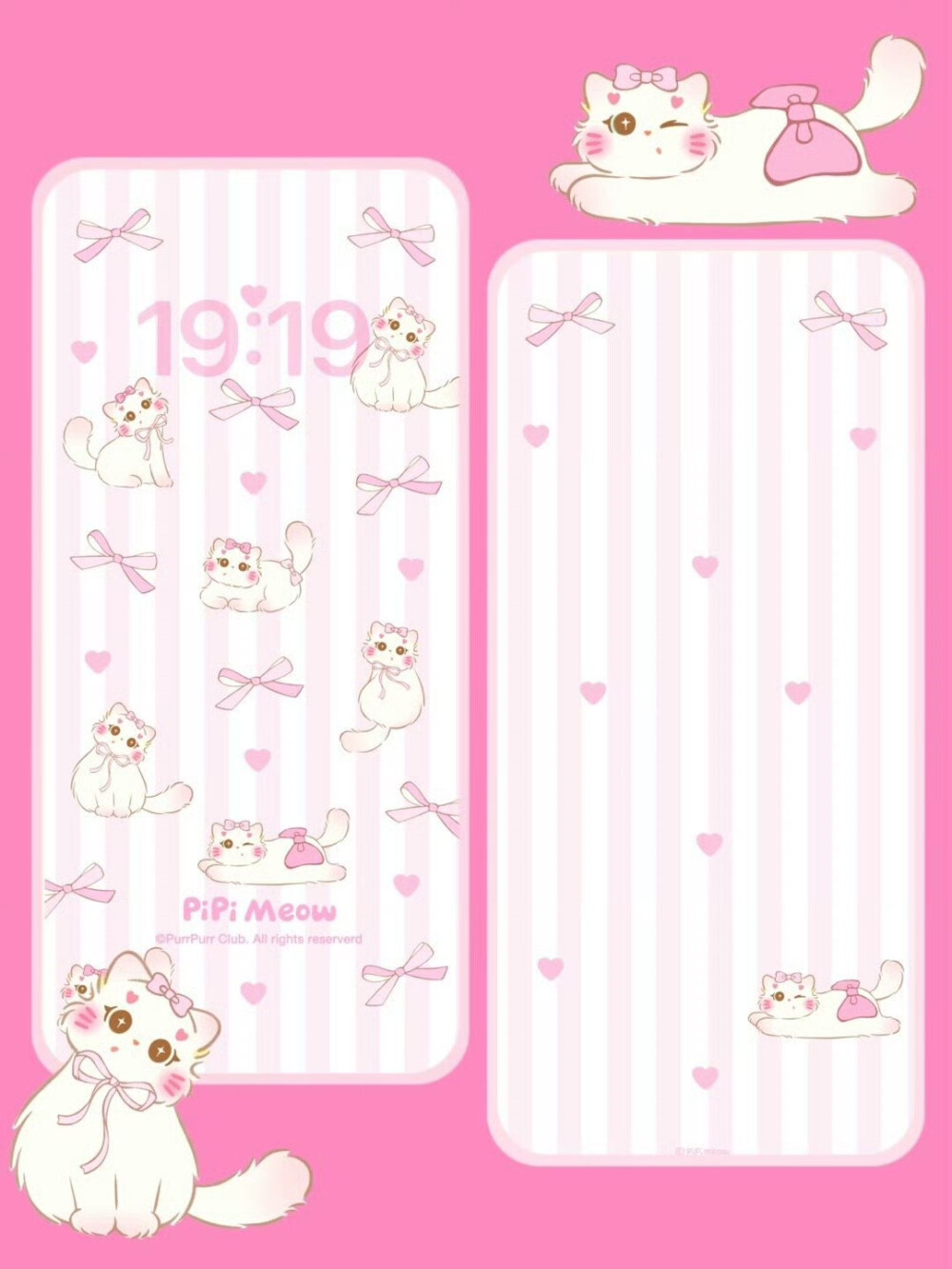 可爱猫咪壁纸套图