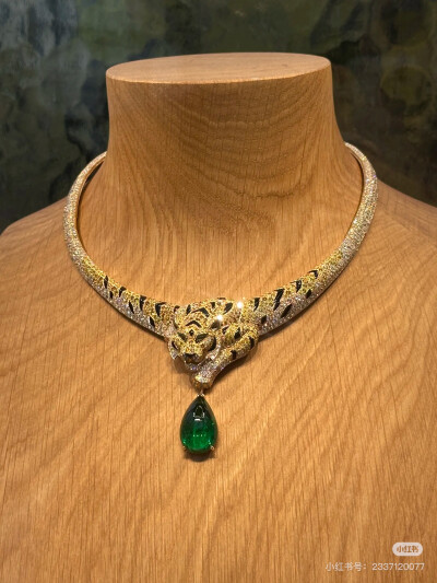 璀璨-小红书转载