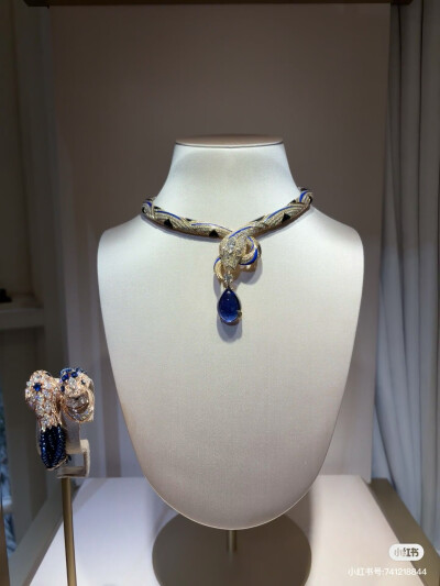 璀璨-小红书转载