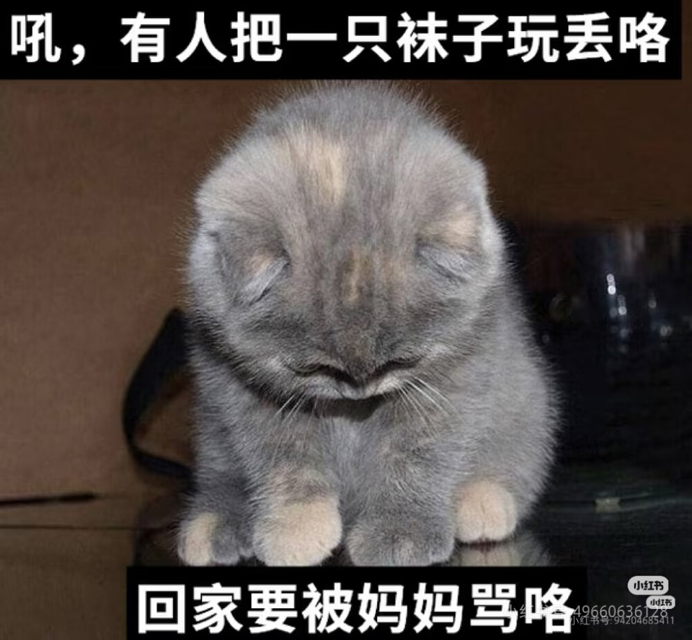 我是不会放弃收集这种图片的