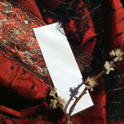 年少时遇见太惊艳的人 终会困其一生