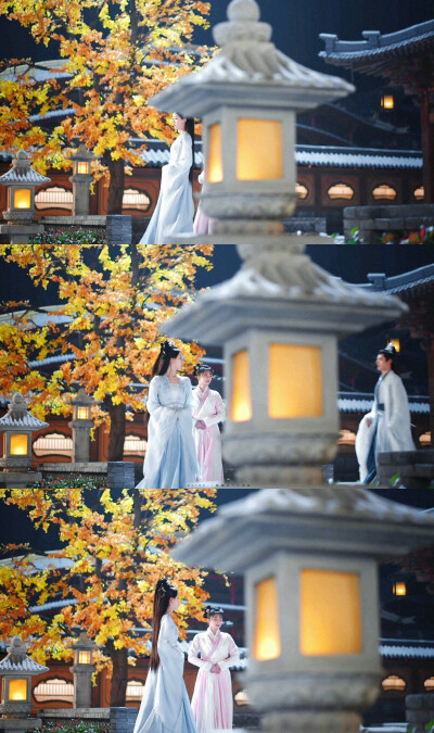 陈都灵叶冰裳
cr：拜鹤