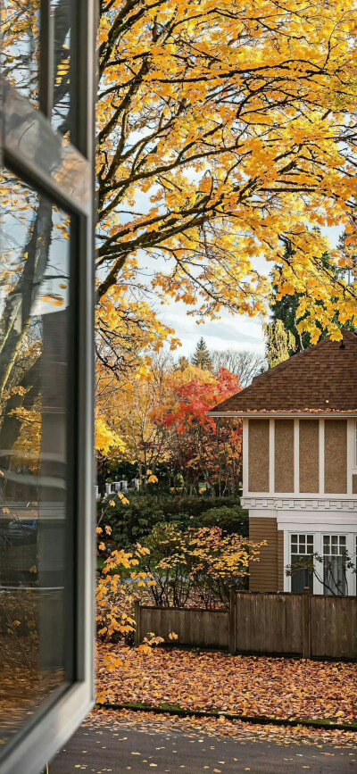 秋天壁纸
#ins风壁纸#