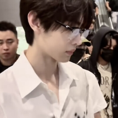 小猫小狗天长地久