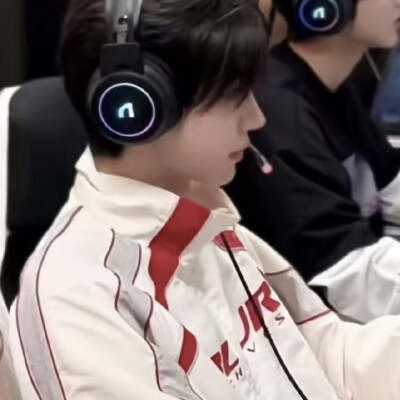 小猫小狗天长地久