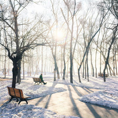 总有一些东西 要用失去来证明它的珍贵 ​​​
#氛围感女头##朋友圈套图#