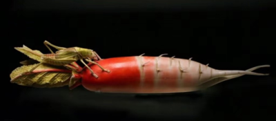 清代 牙雕萝卜
河南省博物院 藏
