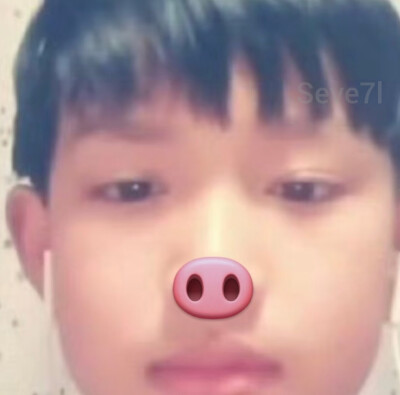 我老婆说我是猪