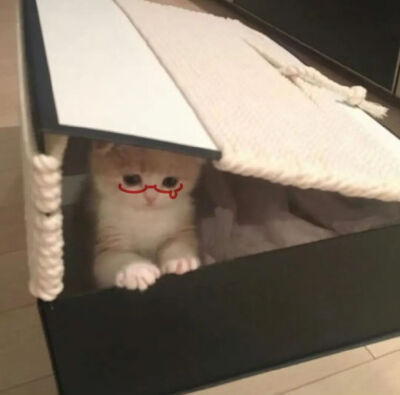 我是不会放弃收集这种图片的