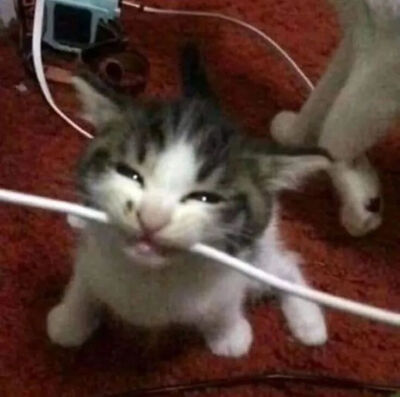 我是不会放弃收集这种图片的