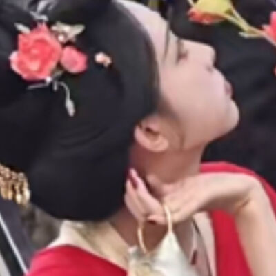 云想衣裳花想容