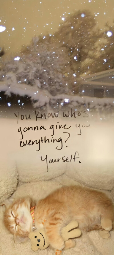 秋天壁纸
#ins风壁纸#