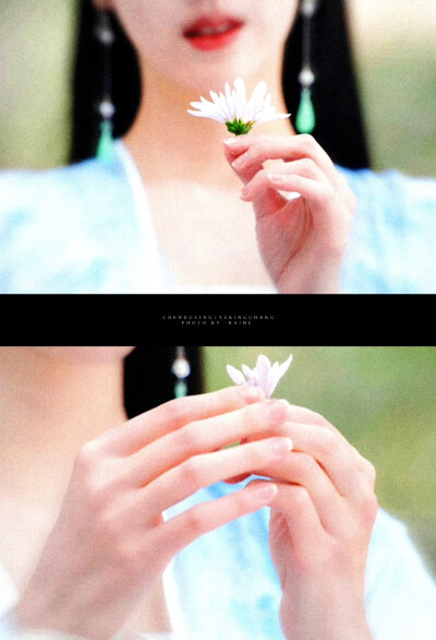 陈都灵叶冰裳
cr：拜鹤