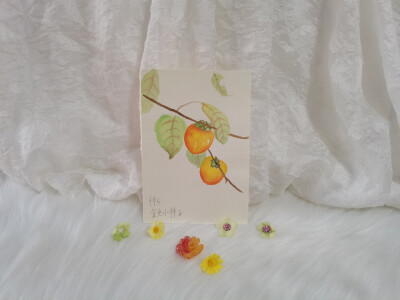 50 柿子（绘画 | 水彩 | 果花甘05）
2018.09.30
可能是因为温度和湿度都在下降，空气里都是一种高远辽阔的味道。
金秋的柿子，像秋光在枝头停落凝结成的圆球，半透明的果仁让人想起蜜糖和精加工的果脯。
每一颗柿子…