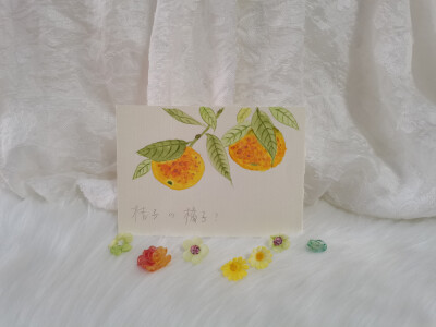 49 橘子（绘画 | 水彩 | 果花甘05）
2018.09.30
晨光转色。橘树在清晨中苏醒。
橘子黄了。两只橘子像藏在眉宇间的眼睛，看着明亮的秋光。
九月底，夏日的葱茏与秋日的凉爽并存。昼，宜暖色调。
很少有这样神采飞扬…