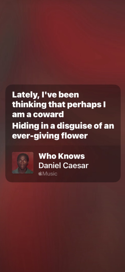 想结婚 在我饿的时候老公可以给我煮碗面 ​​​