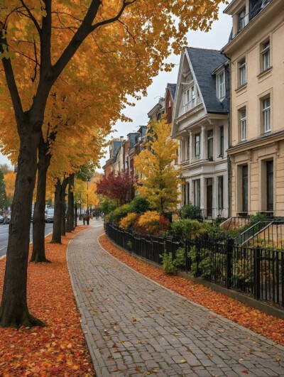 秋日漫行：在金黄巷陌间邂逅宁静时光 