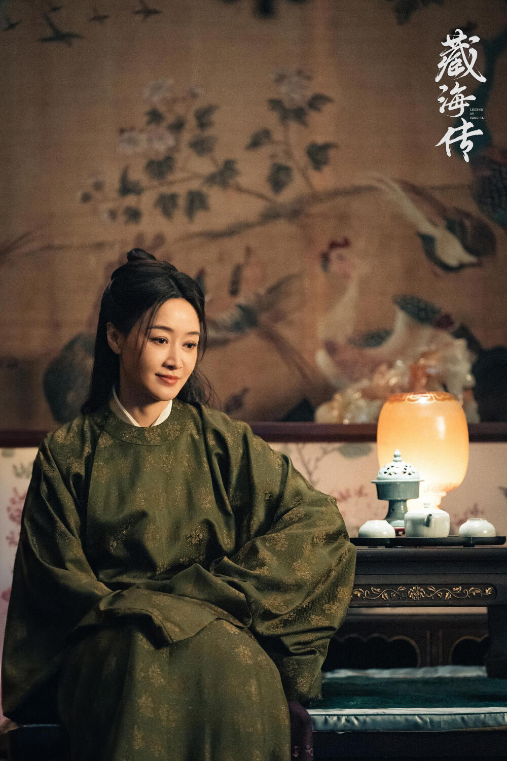 藏海传 赵子琪 饰 蒋襄