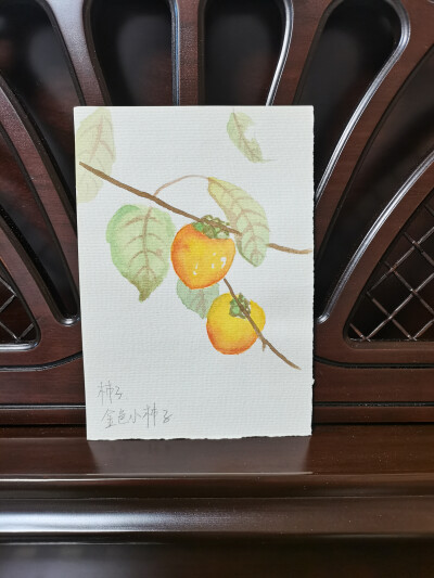 50 柿子（绘画 | 水彩 | 果花甘05）
2018.09.30
可能是因为温度和湿度都在下降，空气里都是一种高远辽阔的味道。
金秋的柿子，像秋光在枝头停落凝结成的圆球，半透明的果仁让人想起蜜糖和精加工的果脯。
每一颗柿子…