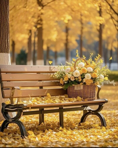 秋日漫行：在金黄巷陌间邂逅宁静时光 