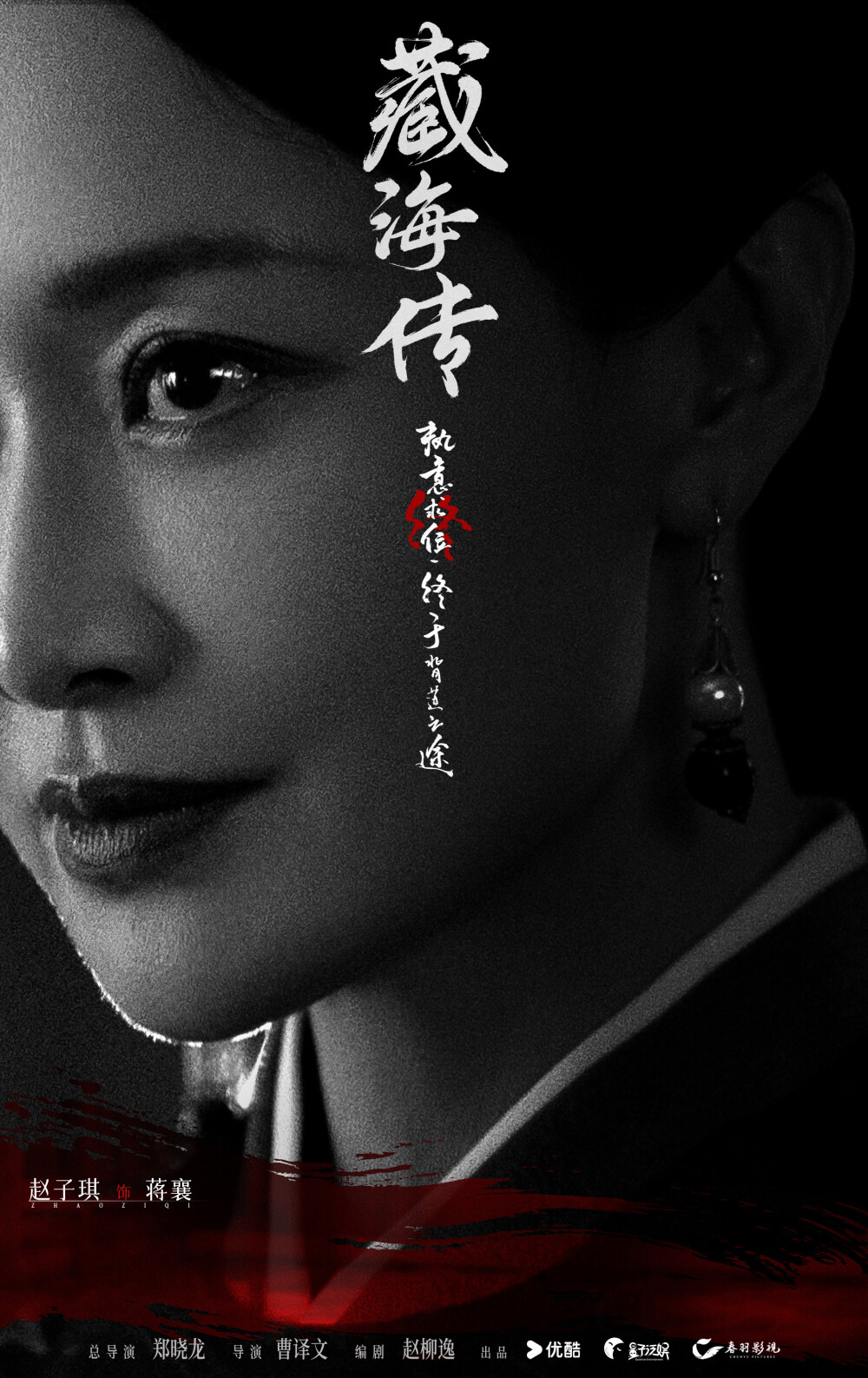 藏海传 赵子琪 饰 蒋襄