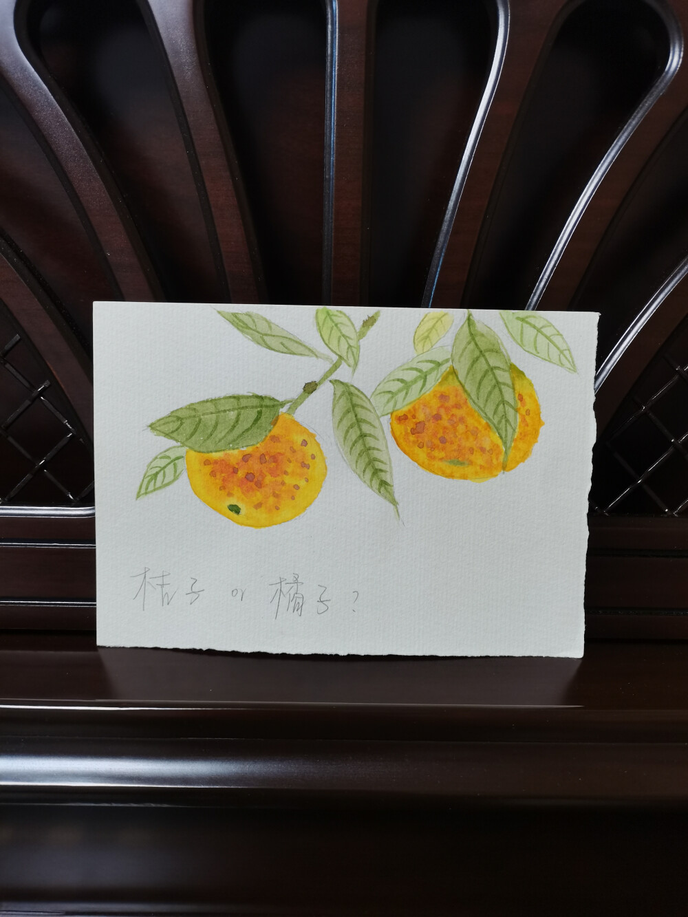 49 橘子（绘画 | 水彩 | 果花甘05）
2018.09.30
晨光转色。橘树在清晨中苏醒。
橘子黄了。两只橘子像藏在眉宇间的眼睛，看着明亮的秋光。
九月底，夏日的葱茏与秋日的凉爽并存。昼，宜暖色调。
很少有这样神采飞扬的舒爽天气。