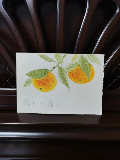 49 橘子（绘画 | 水彩 | 果花甘05）
2018.09.30
晨光转色。橘树在清晨中苏醒。
橘子黄了。两只橘子像藏在眉宇间的眼睛，看着明亮的秋光。
九月底，夏日的葱茏与秋日的凉爽并存。昼，宜暖色调。
很少有这样神采飞扬…