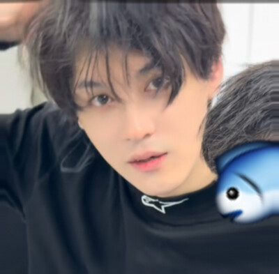 你问我为什么顽固而专一