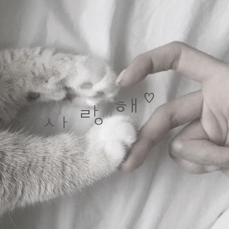 (๑ↀᆺↀ๑)✧