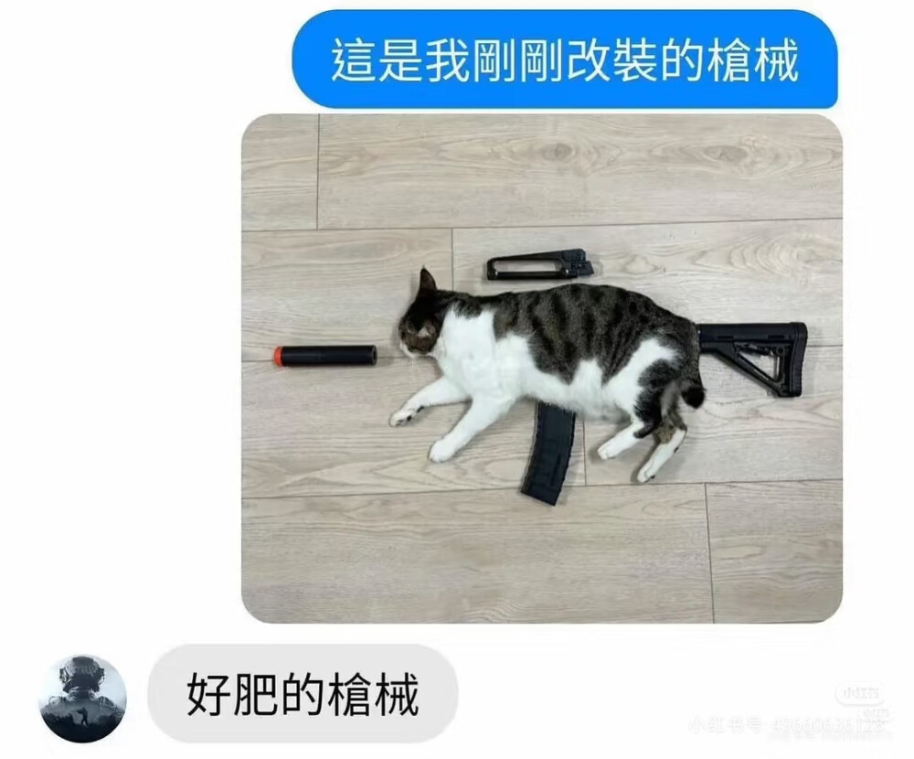 我是不会放弃收集这种图片的