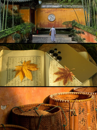 清晨入古寺 天光熹微时
稻田里已有劳作的身影
金浪卷过隋塔的影子
与檐角的铜铃一起在风中诵经