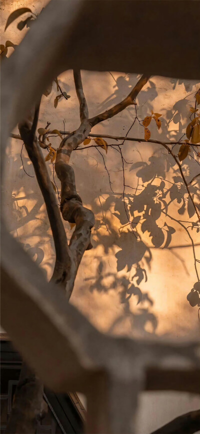 秋天壁纸
#ins风壁纸#