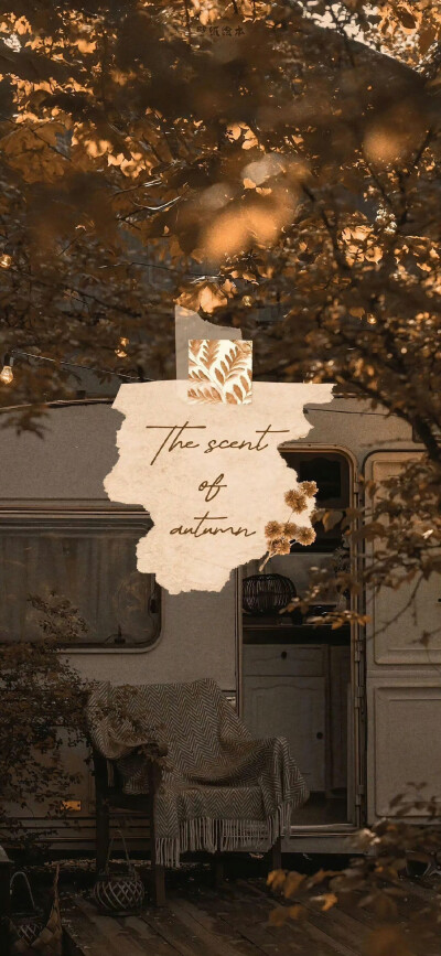 秋天壁纸
#ins风壁纸#